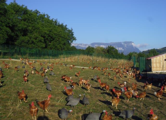 Logo de La Ferme de Champ Courbe