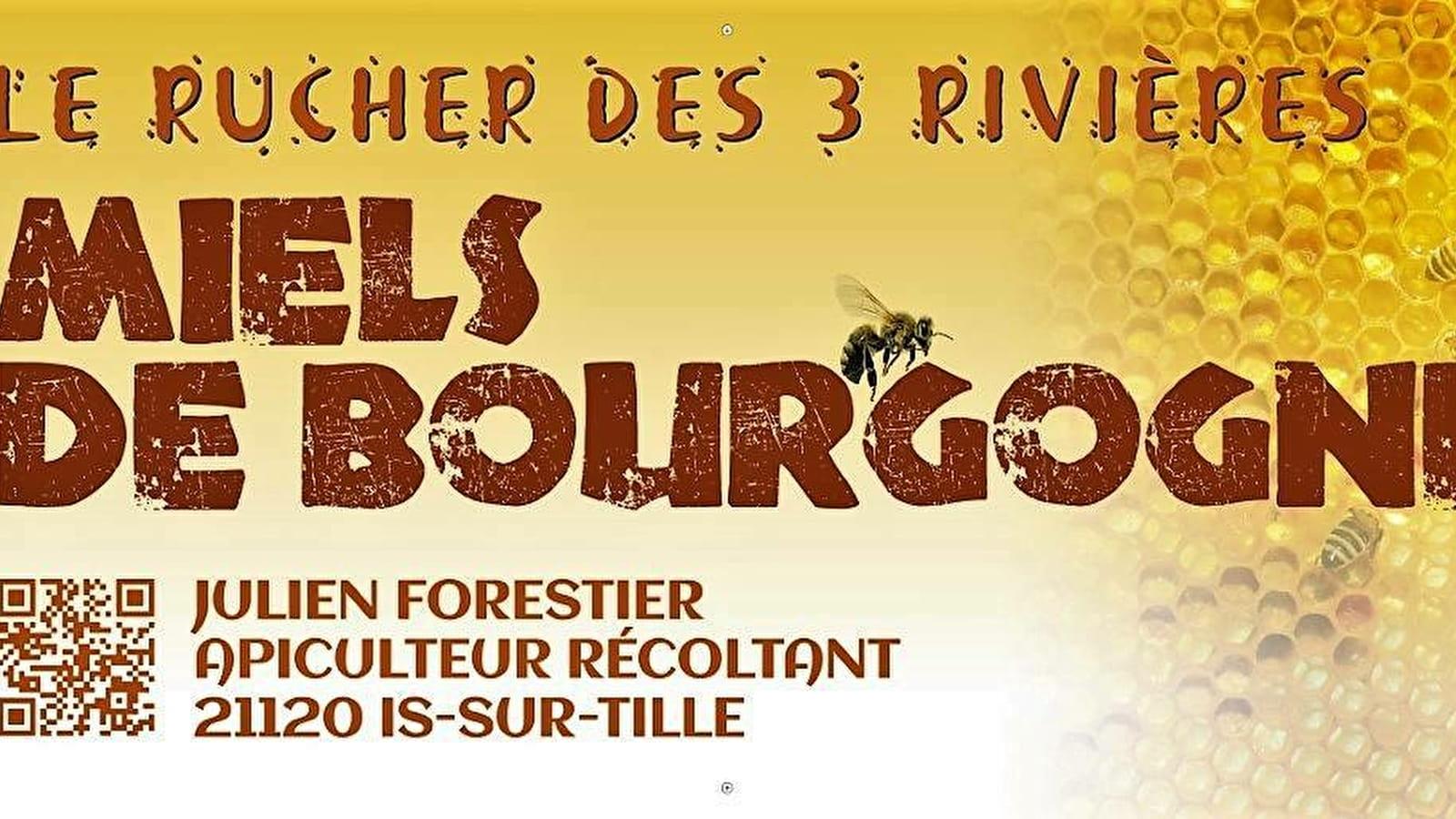 Logo de Rucher des 3 Rivières