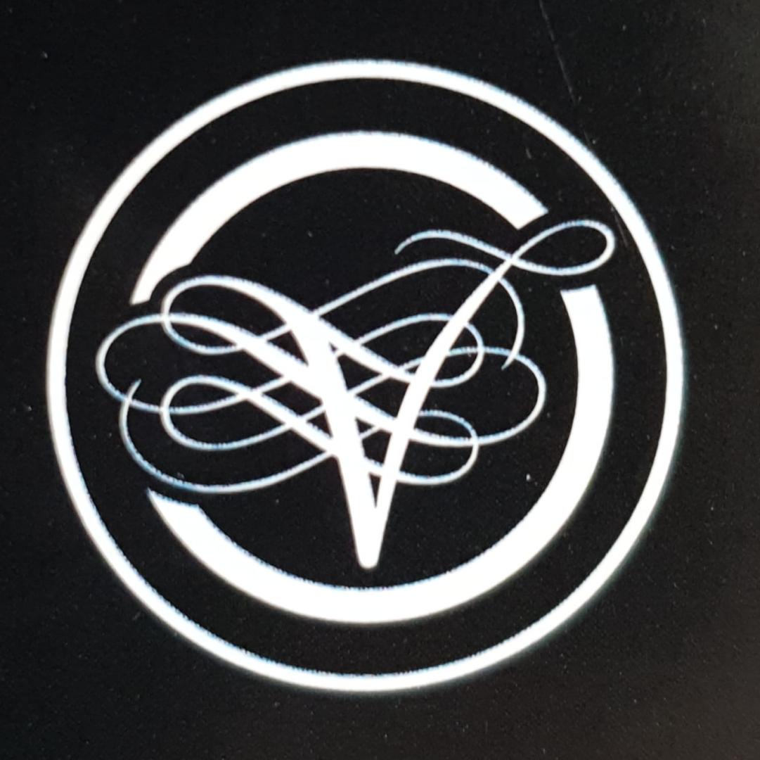 Logo de Vignoble Vincent