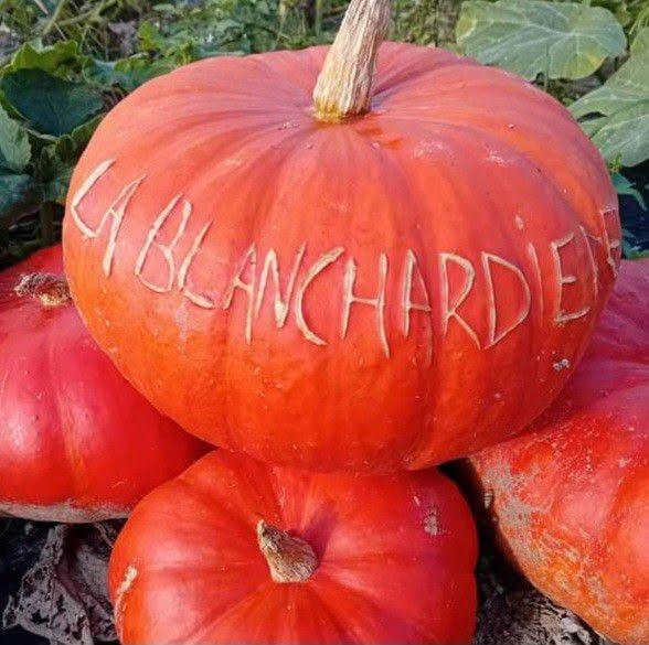 Logo de Ferme de la Blanchardière