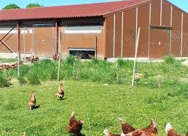 Logo de Ferme Groell