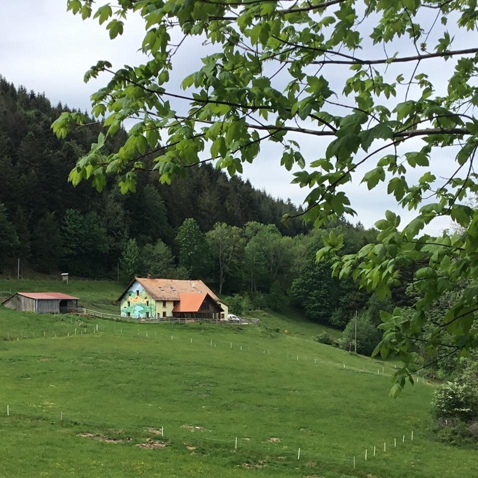 Logo de Ferme Auberge des Cimes