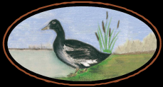 Logo de Ferme Bessonnet