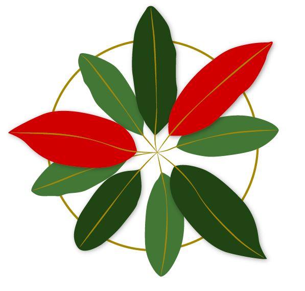Logo de TiNAT Agroforesterie syntropique Réunion