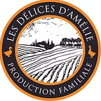 Logo de Les Délices d'Amélie Cazeils Jean-Luc