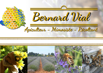 Logo de Bernard Vial