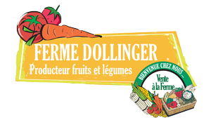 Logo de Ferme Dollinger