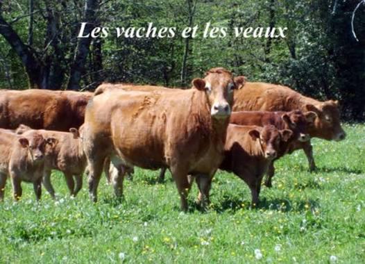 Logo de La Ferme de Luc