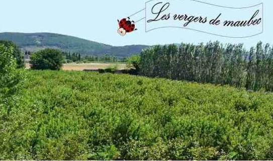 Logo de Les vergers de Maubec