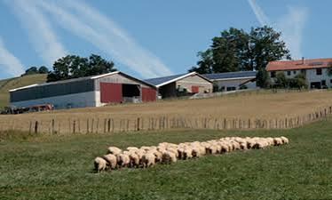 Logo de Ferme Diriart Etchmendybeheria