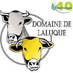 Logo de Domaine de Laluque