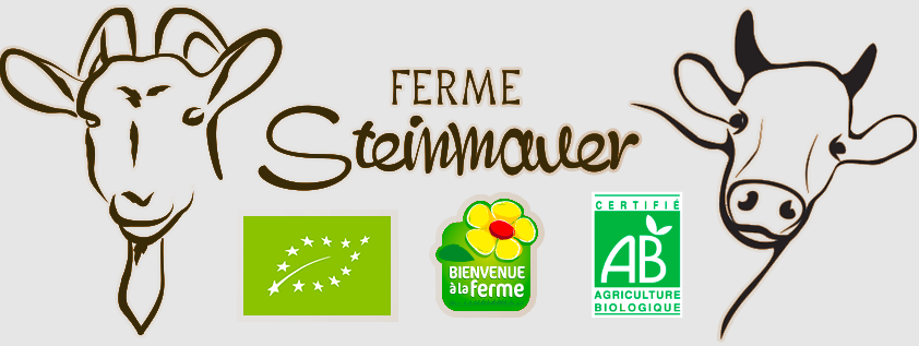 Logo de Ferme Steinmauer