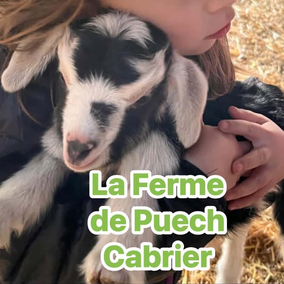 Logo de La Ferme de Puech Cabrier