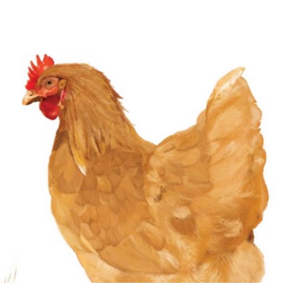 Logo de Ferme de l'Ecoufle