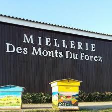 Logo de Miellerie des Monts du Forez