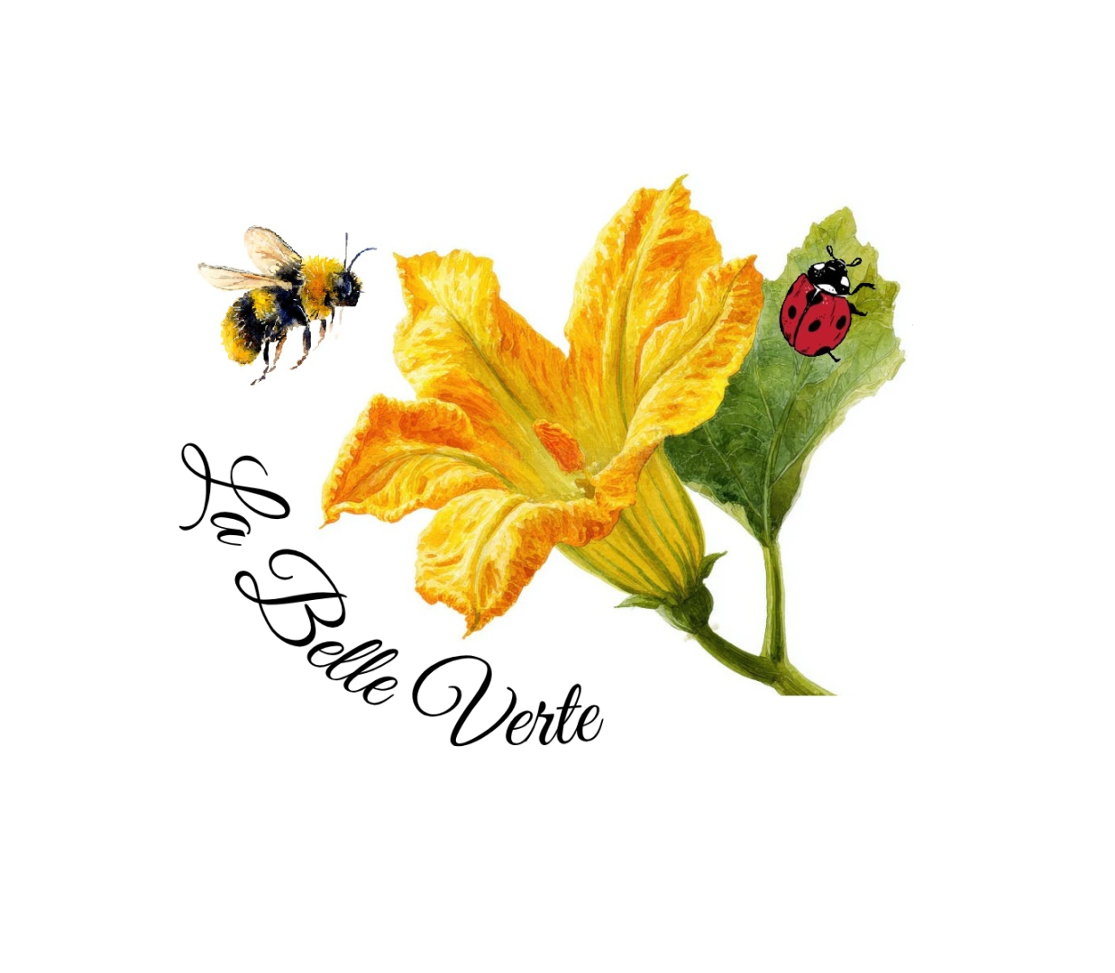 Logo de La Belle Verte