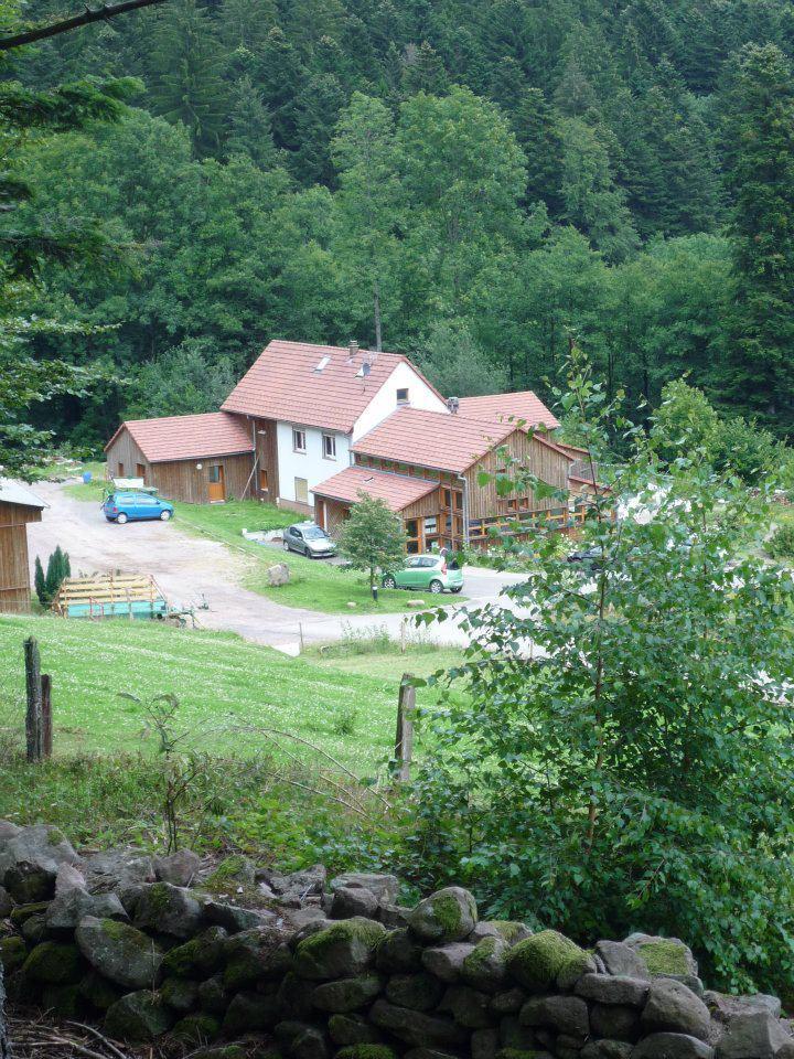 Logo de Ferme Auberge du Bambois