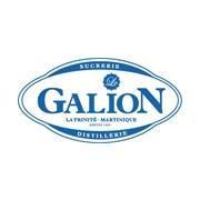Logo de Le Galion