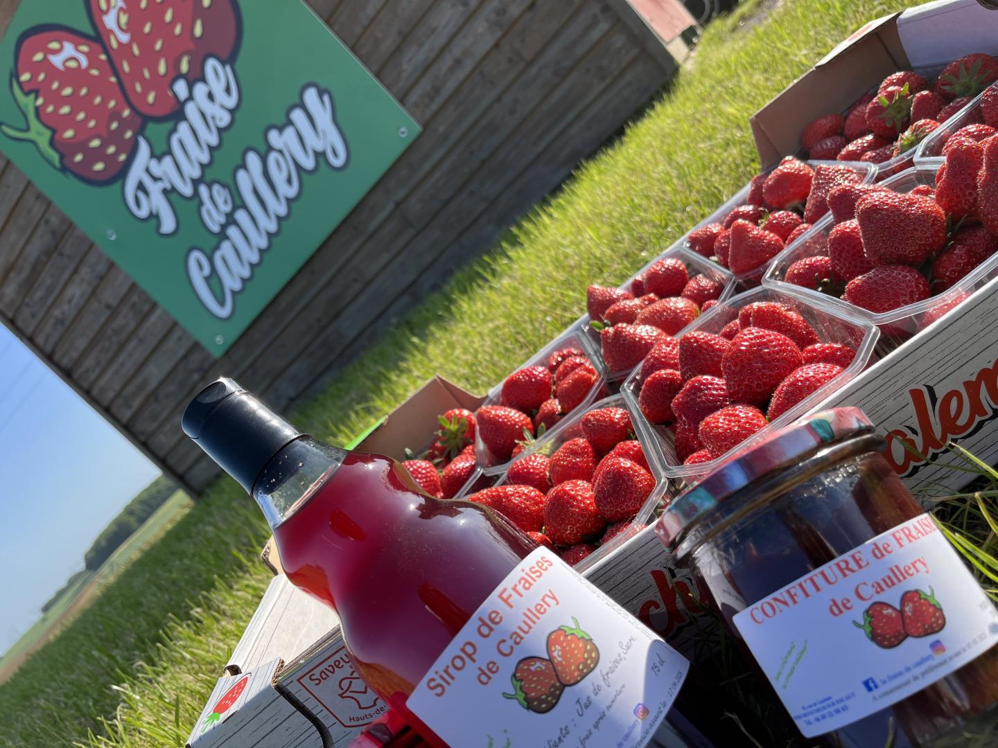 Logo de La Fraise de Caullery